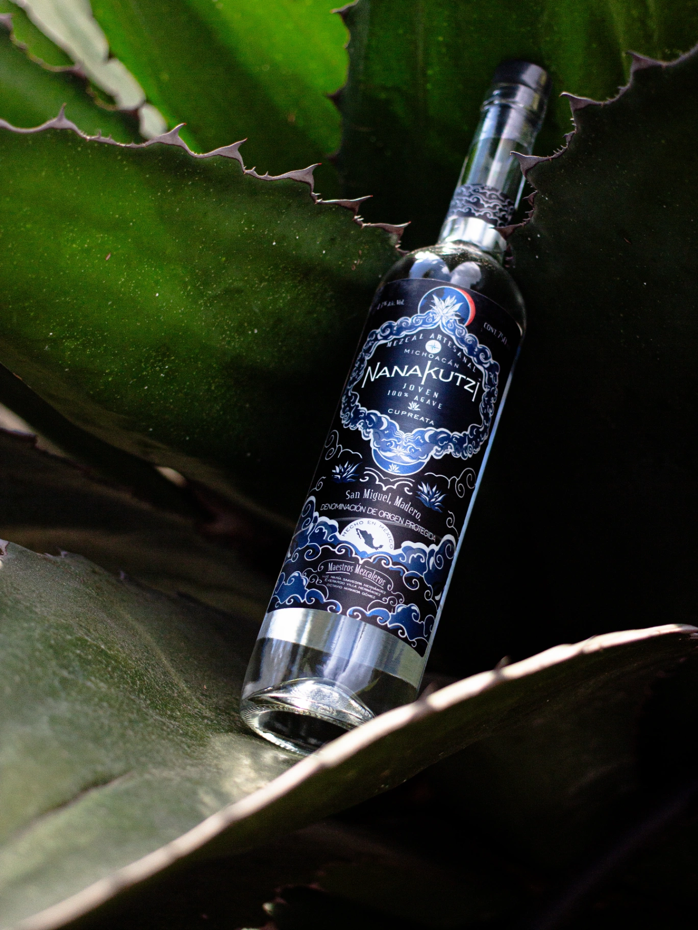 Botella de mezcal Nanakutzi Cupreata Eclipse recostada entre pencas de agave Cupreata michoacano